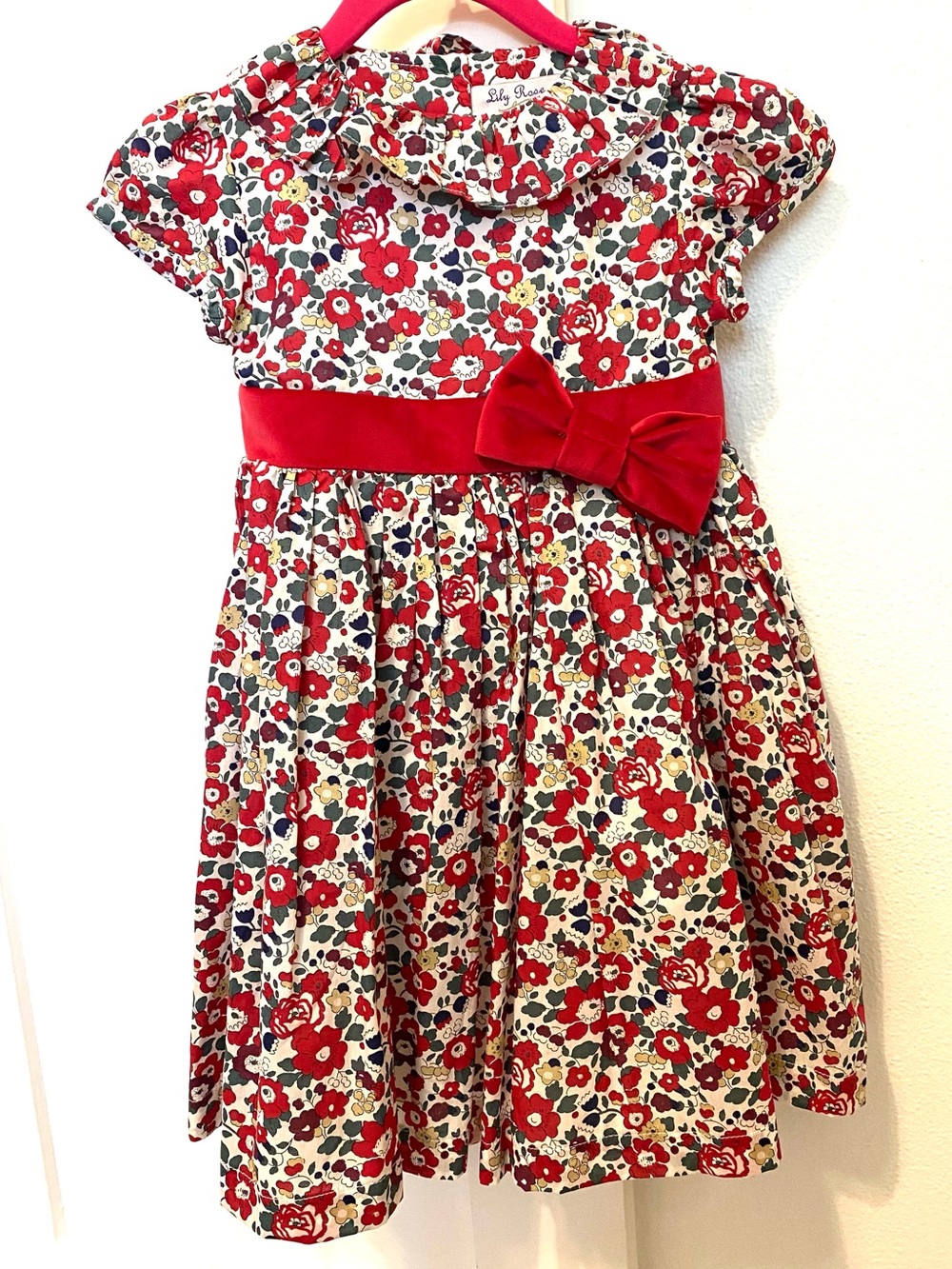 Lily Rose Red Floral Dress with Satin Bow (4 y)